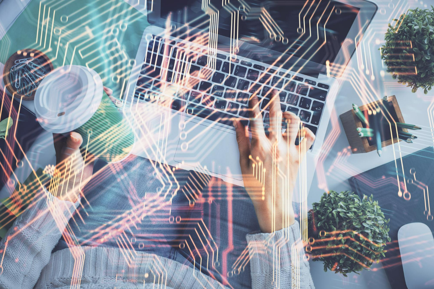 Google Automated Campaigns…use with caution